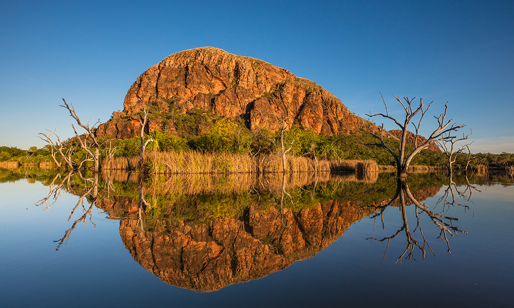 Kununurra WA Wholesale Security Screen Doors and Windows